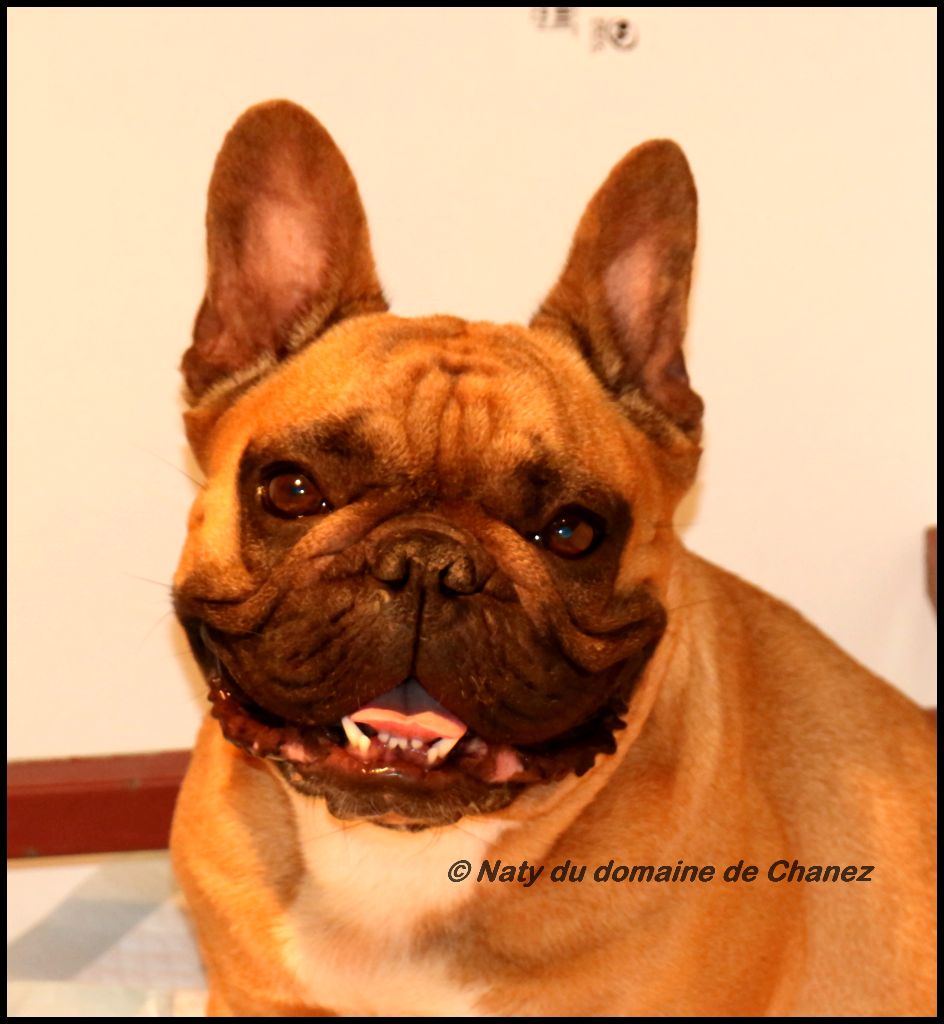 Naty du Domaine de Chanez