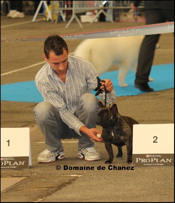 du Domaine de Chanez - Exposition Dijon